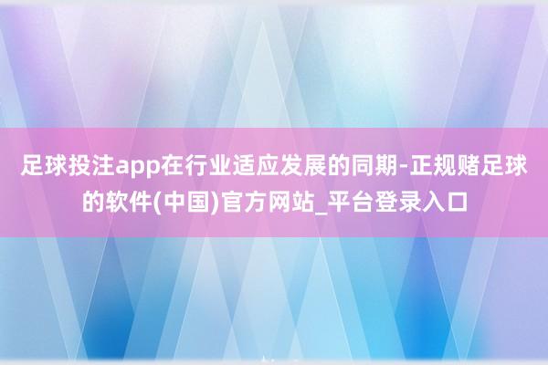 足球投注app在行业适应发展的同期-正规赌足球的软件(中国)官方网站_平台登录入口