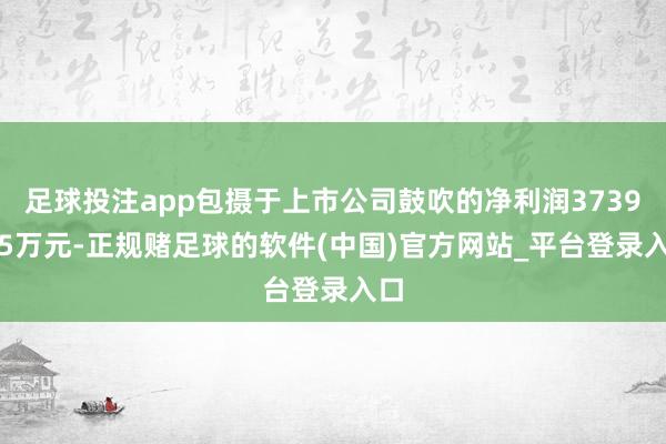 足球投注app包摄于上市公司鼓吹的净利润3739.85万元-正规赌足球的软件(中国)官方网站_平台登录入口