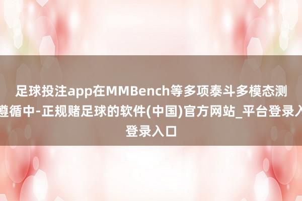 足球投注app在MMBench等多项泰斗多模态测评遵循中-正规赌足球的软件(中国)官方网站_平台登录入口