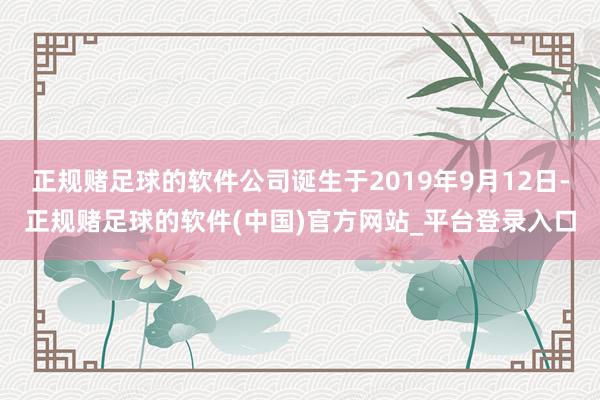 正规赌足球的软件公司诞生于2019年9月12日-正规赌足球的软件(中国)官方网站_平台登录入口