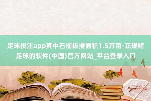 足球投注app其中石榴拔擢面积1.5万亩-正规赌足球的软件(中国)官方网站_平台登录入口