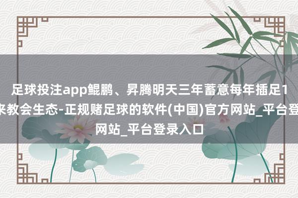 足球投注app鲲鹏、昇腾明天三年蓄意每年插足10亿元来教会生态-正规赌足球的软件(中国)官方网站_平台登录入口