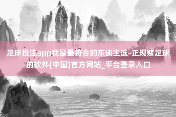 足球投注app我是最符合的东谈主选-正规赌足球的软件(中国)官方网站_平台登录入口