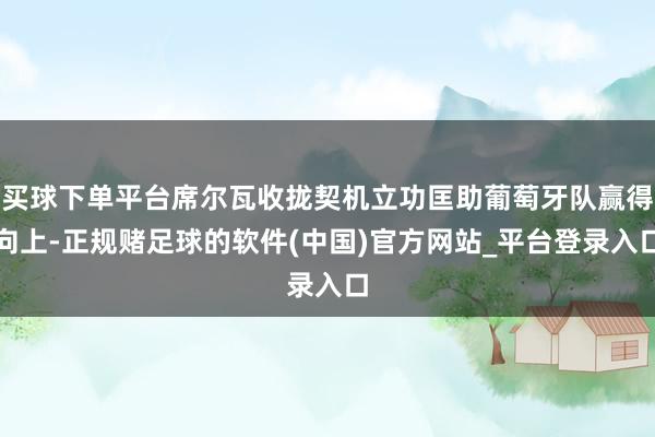 买球下单平台席尔瓦收拢契机立功匡助葡萄牙队赢得向上-正规赌足球的软件(中国)官方网站_平台登录入口