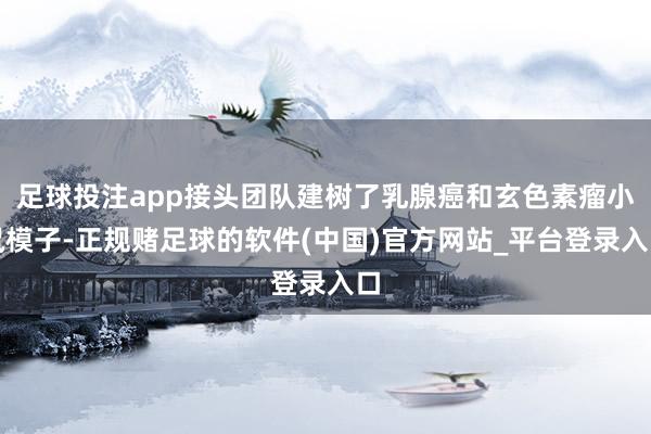 足球投注app接头团队建树了乳腺癌和玄色素瘤小鼠模子-正规赌足球的软件(中国)官方网站_平台登录入口