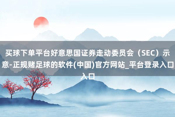 买球下单平台好意思国证券走动委员会（SEC）示意-正规赌足球的软件(中国)官方网站_平台登录入口