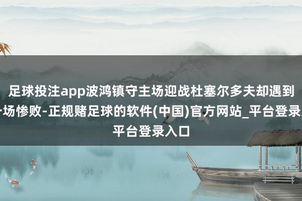 足球投注app波鸿镇守主场迎战杜塞尔多夫却遇到了一场惨败-正规赌足球的软件(中国)官方网站_平台登录入口