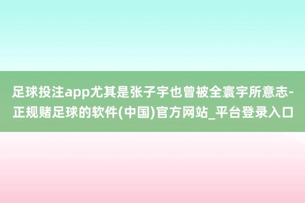 足球投注app尤其是张子宇也曾被全寰宇所意志-正规赌足球的软件(中国)官方网站_平台登录入口