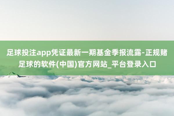 足球投注app凭证最新一期基金季报流露-正规赌足球的软件(中国)官方网站_平台登录入口