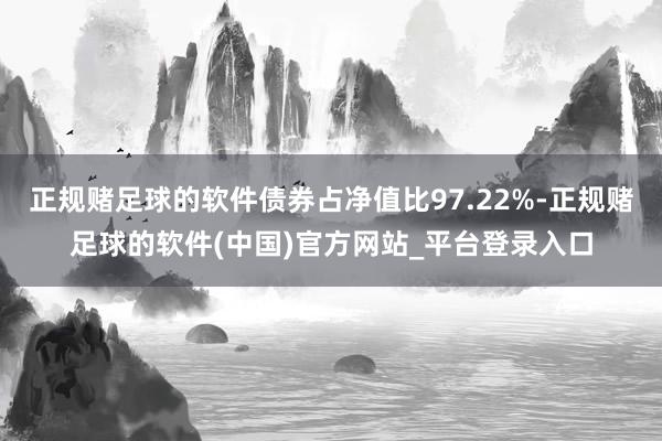 正规赌足球的软件债券占净值比97.22%-正规赌足球的软件(中国)官方网站_平台登录入口