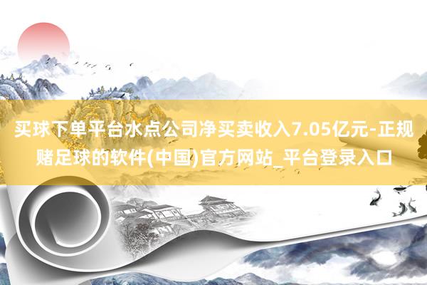 买球下单平台水点公司净买卖收入7.05亿元-正规赌足球的软件(中国)官方网站_平台登录入口