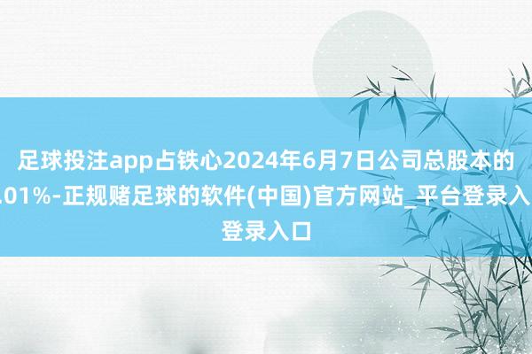 足球投注app占铁心2024年6月7日公司总股本的5.01%-正规赌足球的软件(中国)官方网站_平台登录入口