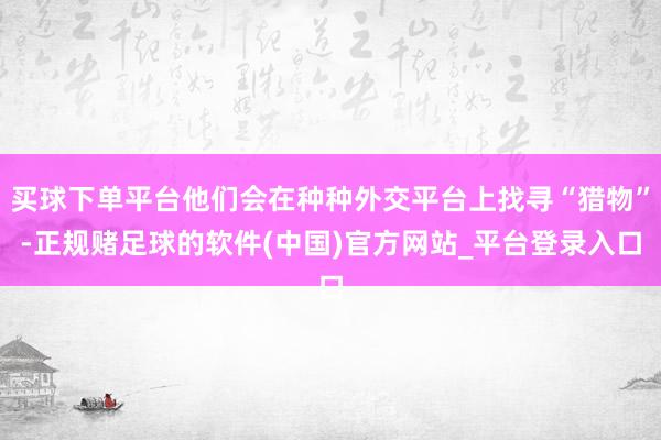 买球下单平台他们会在种种外交平台上找寻“猎物”-正规赌足球的软件(中国)官方网站_平台登录入口