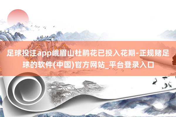 足球投注app峨眉山杜鹃花已投入花期-正规赌足球的软件(中国)官方网站_平台登录入口