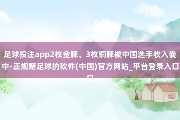 足球投注app2枚金牌、3枚铜牌被中国选手收入囊中-正规赌足球的软件(中国)官方网站_平台登录入口