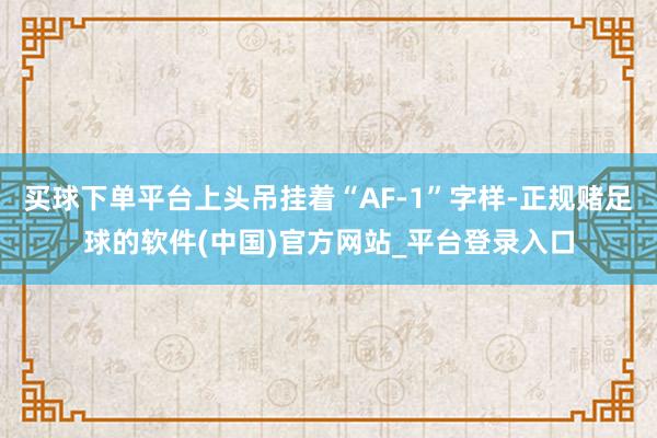 买球下单平台上头吊挂着“AF-1”字样-正规赌足球的软件(中国)官方网站_平台登录入口