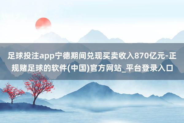 足球投注app宁德期间兑现买卖收入870亿元-正规赌足球的软件(中国)官方网站_平台登录入口