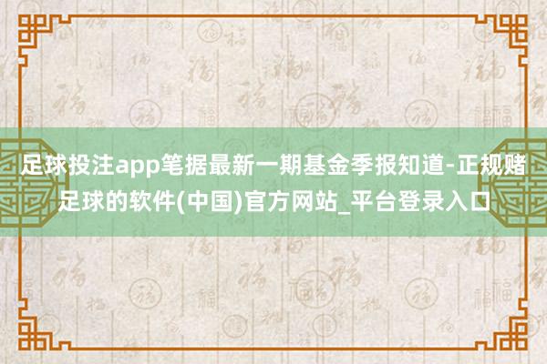 足球投注app笔据最新一期基金季报知道-正规赌足球的软件(中国)官方网站_平台登录入口