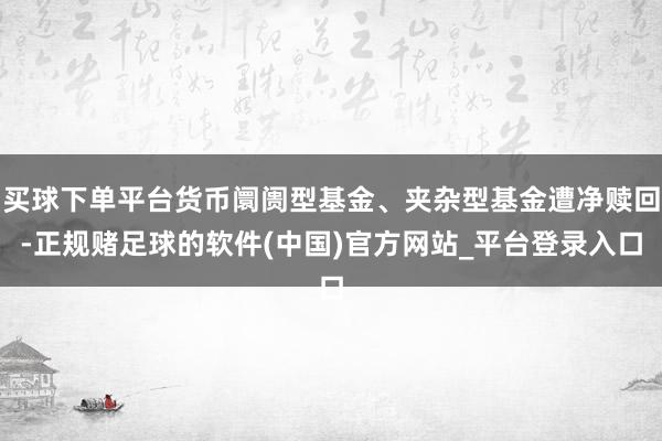 买球下单平台货币阛阓型基金、夹杂型基金遭净赎回-正规赌足球的软件(中国)官方网站_平台登录入口