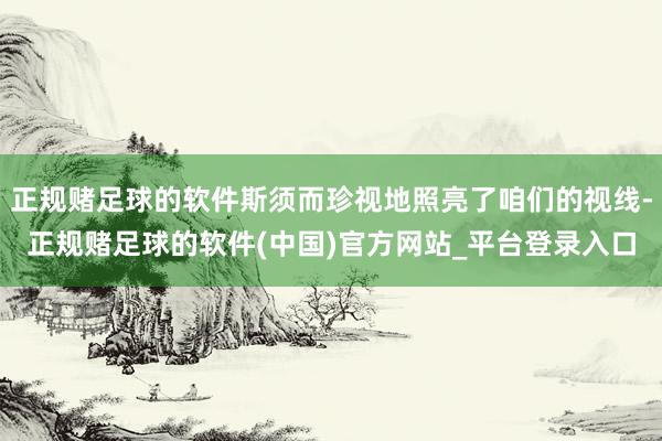 正规赌足球的软件斯须而珍视地照亮了咱们的视线-正规赌足球的软件(中国)官方网站_平台登录入口