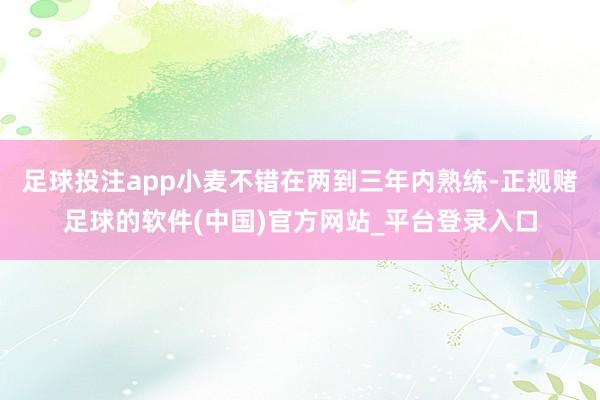 足球投注app小麦不错在两到三年内熟练-正规赌足球的软件(中国)官方网站_平台登录入口