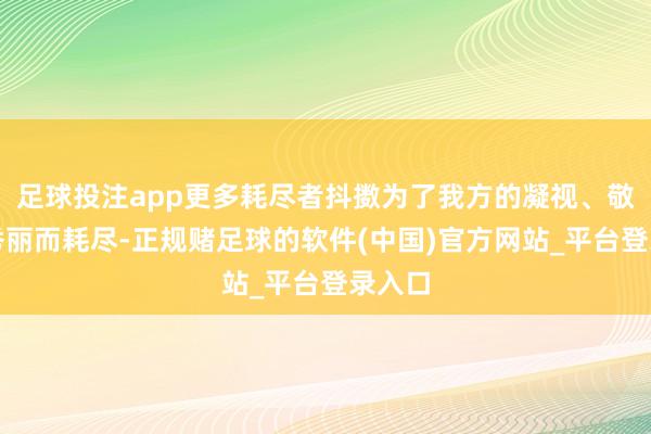 足球投注app更多耗尽者抖擞为了我方的凝视、敬爱、秀丽而耗尽-正规赌足球的软件(中国)官方网站_平台登录入口