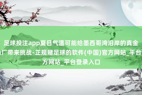 足球投注app夏日气温可能给墨西哥湾沿岸的真金不怕火油厂带来挑战-正规赌足球的软件(中国)官方网站_平台登录入口