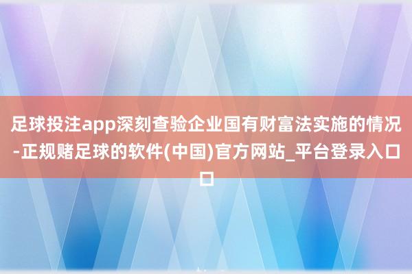 足球投注app深刻查验企业国有财富法实施的情况-正规赌足球的软件(中国)官方网站_平台登录入口