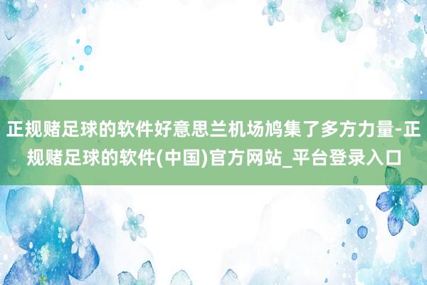 正规赌足球的软件好意思兰机场鸠集了多方力量-正规赌足球的软件(中国)官方网站_平台登录入口