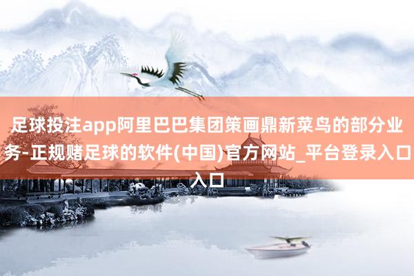 足球投注app阿里巴巴集团策画鼎新菜鸟的部分业务-正规赌足球的软件(中国)官方网站_平台登录入口