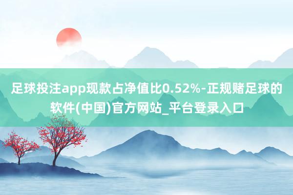 足球投注app现款占净值比0.52%-正规赌足球的软件(中国)官方网站_平台登录入口