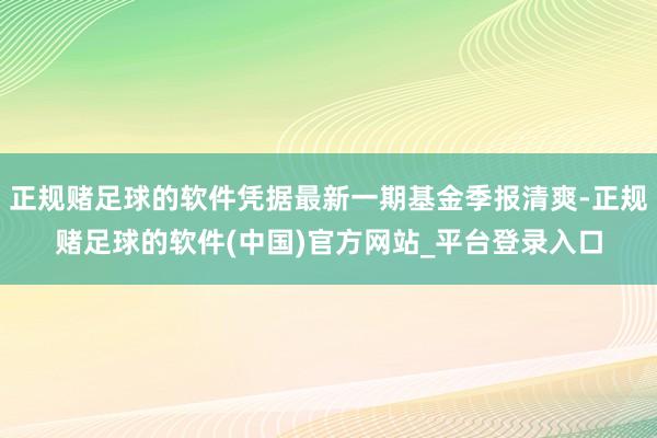 正规赌足球的软件凭据最新一期基金季报清爽-正规赌足球的软件(中国)官方网站_平台登录入口
