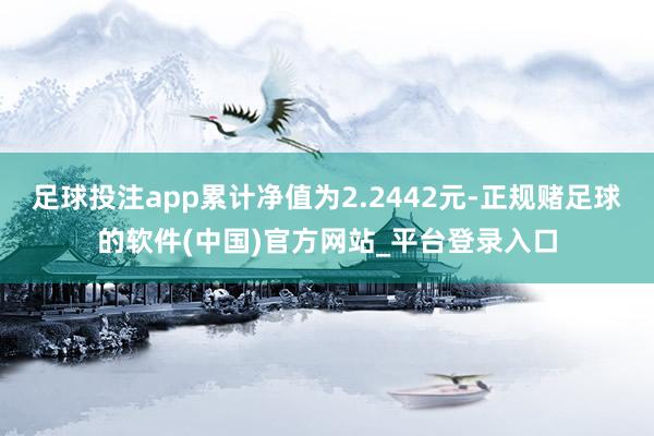 足球投注app累计净值为2.2442元-正规赌足球的软件(中国)官方网站_平台登录入口