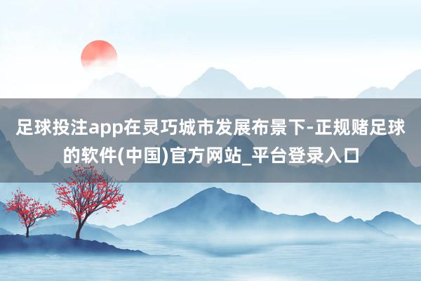 足球投注app在灵巧城市发展布景下-正规赌足球的软件(中国)官方网站_平台登录入口