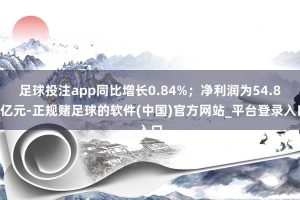 足球投注app同比增长0.84%;净利润为54.84亿元-正规赌足球的软件(中国)官方网站_平台登录入口