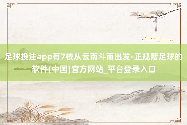 足球投注app有7枝从云南斗南出发-正规赌足球的软件(中国)官方网站_平台登录入口
